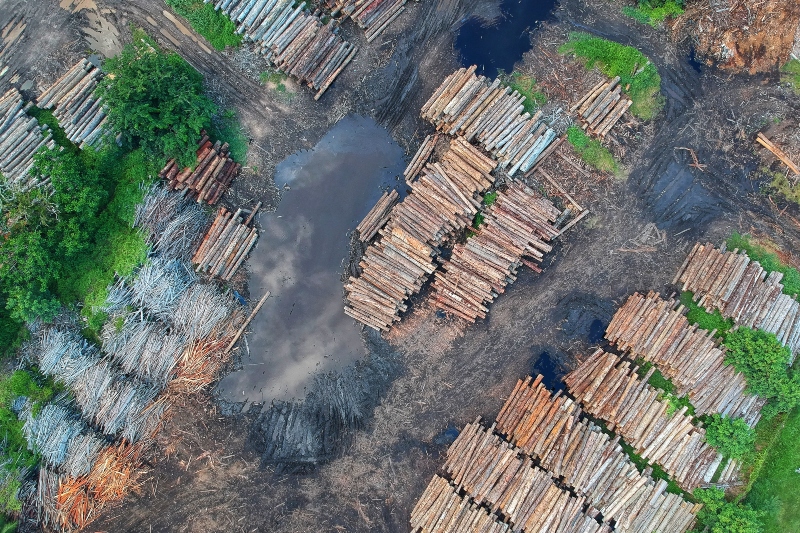 O desmatamento fora de terras indígenas é 2,5 vezes maior do que dentro delas.